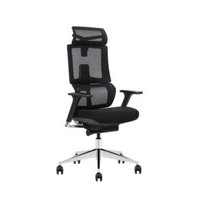 כסא מנהלים אורתופדי ארגונומי דגם Ergotop Soft